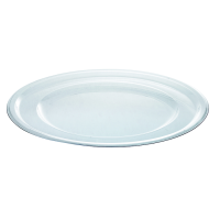 Round transparent plastic plate