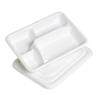 White pulp meal 4-compartments tray