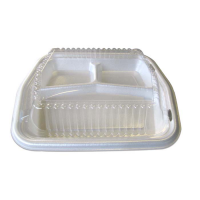 White plastic 3-compartments tray without lid 220x250mm H30mm